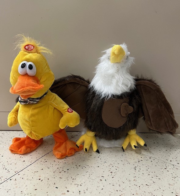 Take Charge of your Duck and Soar like an Eagle!