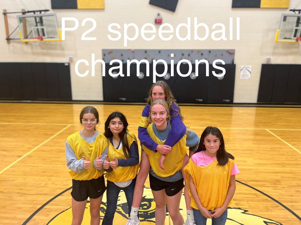P2 Speedball Champions